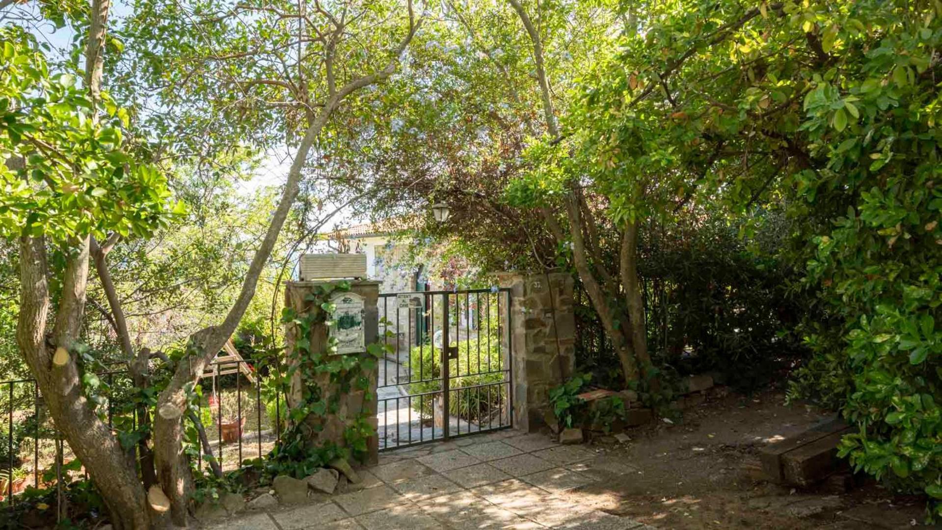 Villa Con Giardino Vista Mare Castiglione della Pescaia Eksteriør bilde